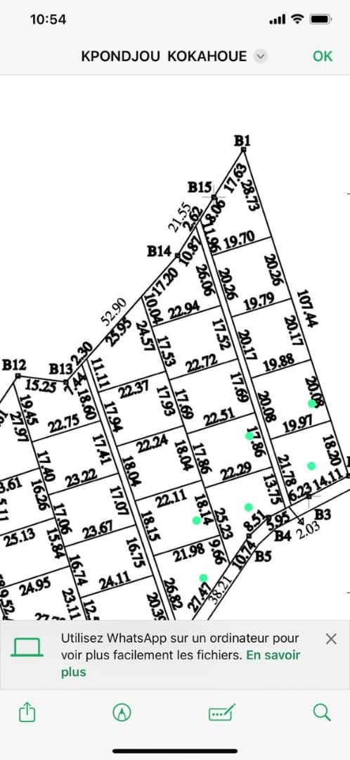 Vente d'un Terrain : Atlantique-Tori-Bossito (Tori kokanhoue)