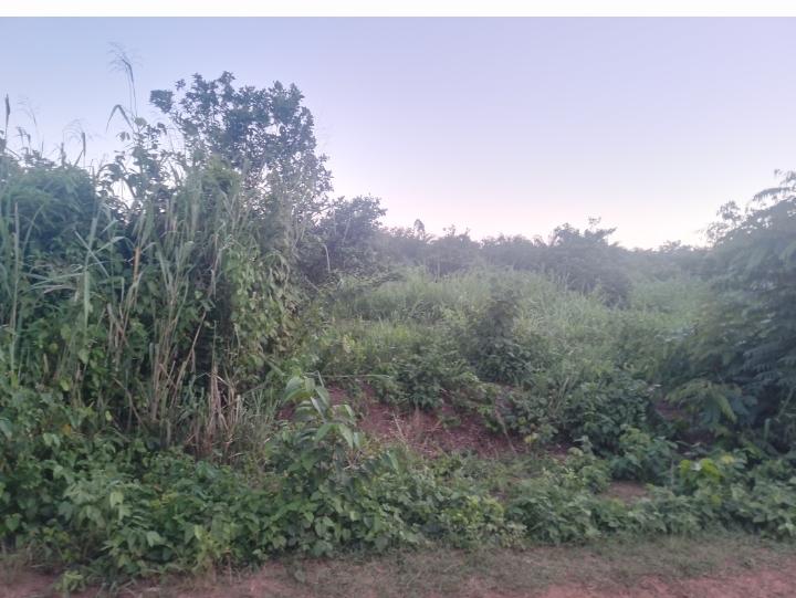 Vente d'un Terrain à 13.000.000 FCFA  : Atlantique-Allada (Ayou hangnan)