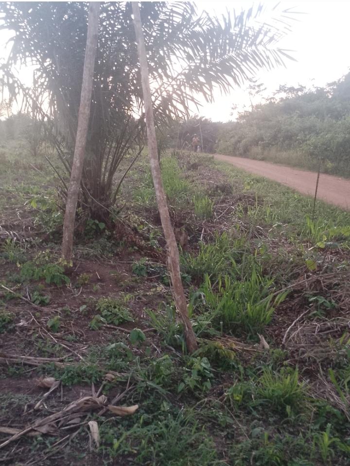 Vente d'un Terrain à 13.000.000 FCFA  : Atlantique-Allada (Ayou hangnan)