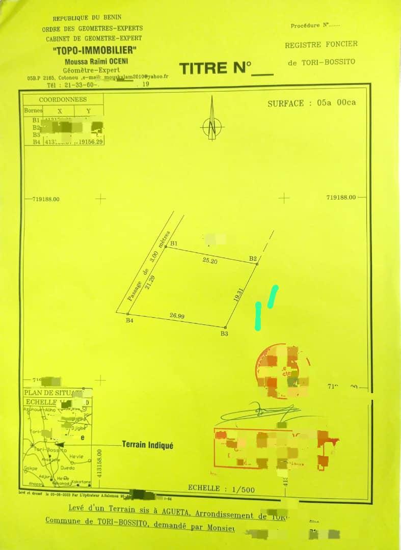 Vente d'un Terrain à 1.900.000 FCFA  : Atlantique-Tori-Bossito (AVAME)